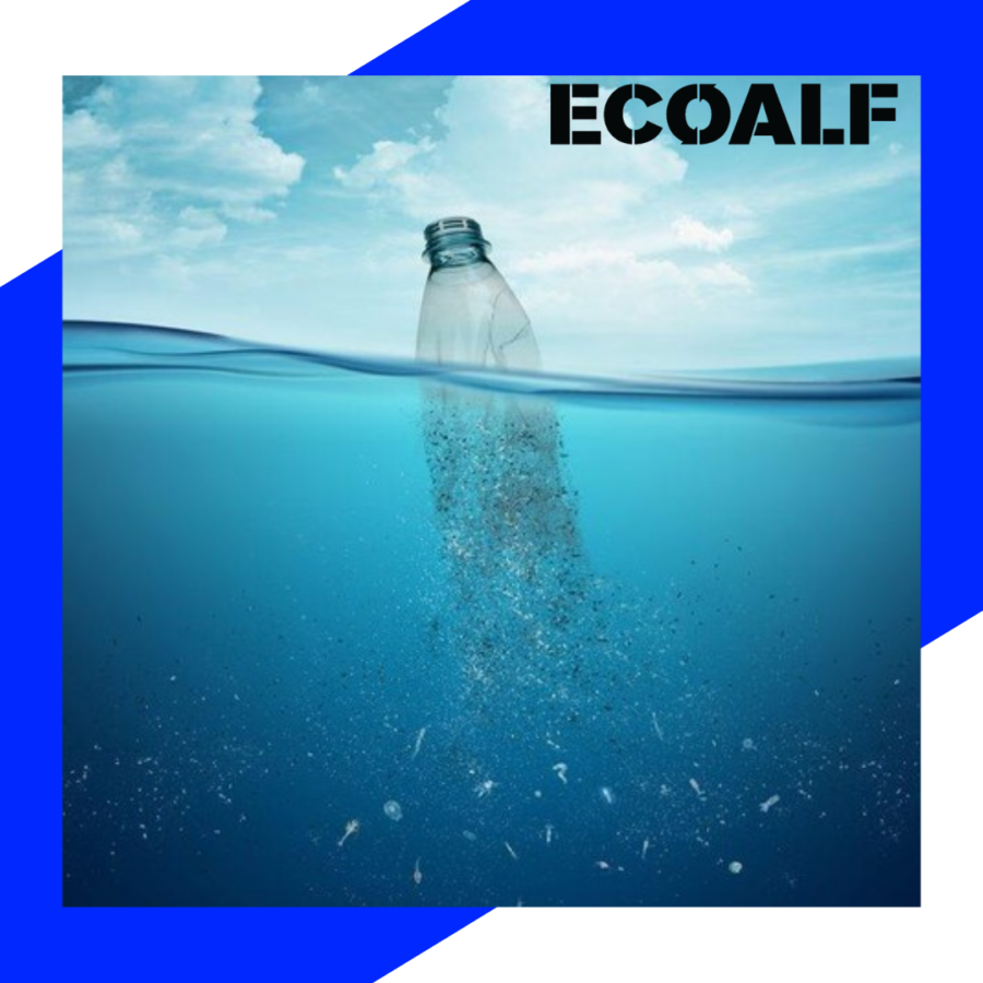 Ecoalf-plastique-recyclé