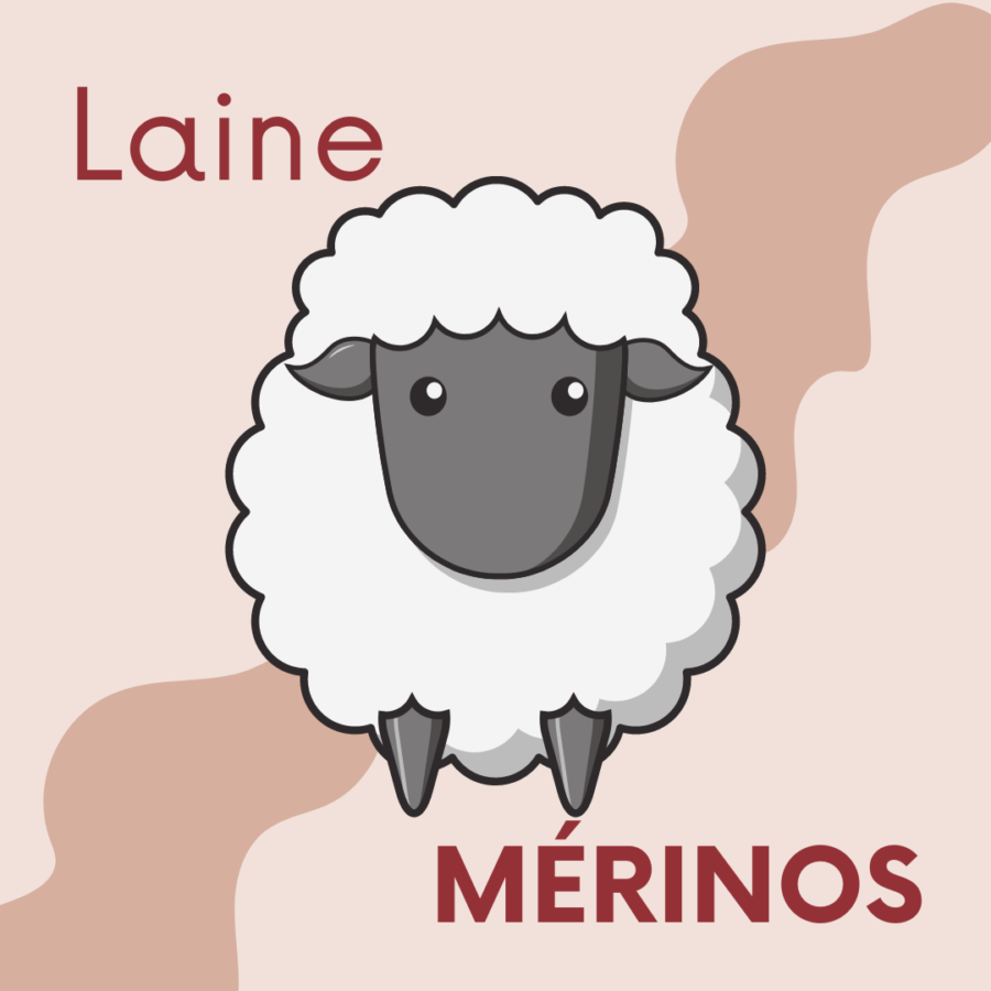 Laine-mérinos