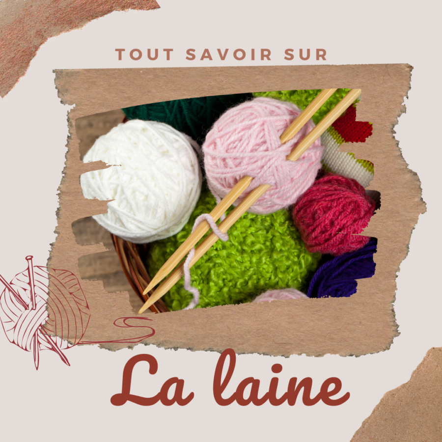 tout-savoir-sur-la-laine